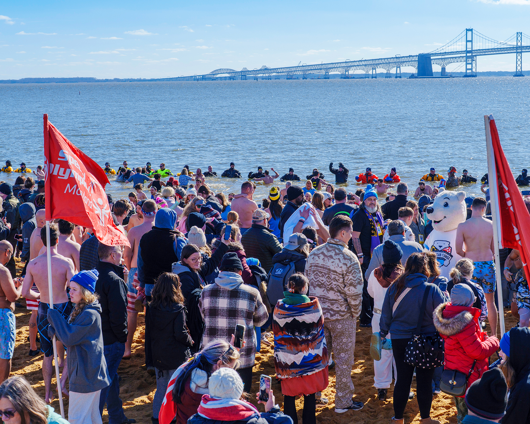 Polar Bear Plunge 2024